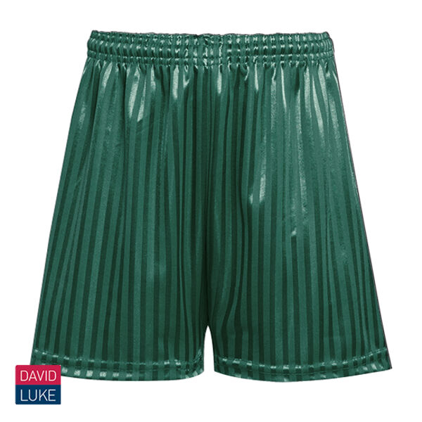 David Luke Shadow Shorts - Green Thumbnail